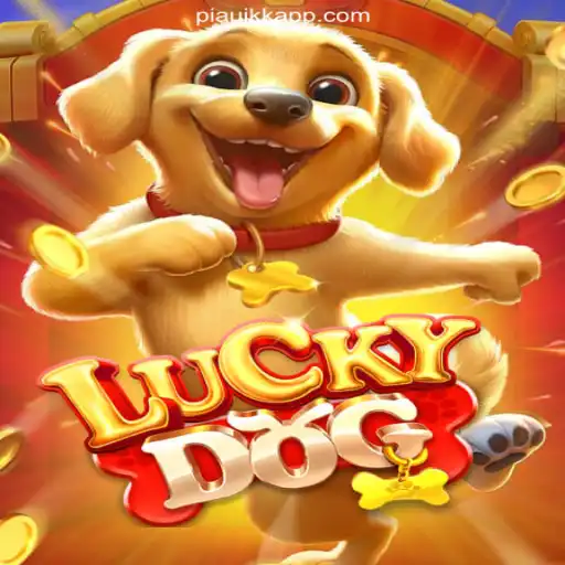 Enter the World of LuckyDog: Brazil's Premier Betting Platform